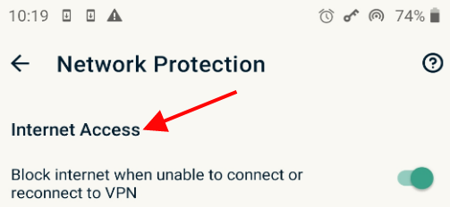 ExpressVPN Network Protection