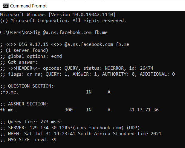 This displays DNS interceptions