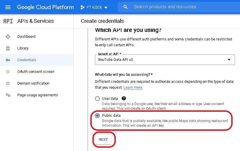 Google cloud project Credential Type section, Public data and NEXT highlighted