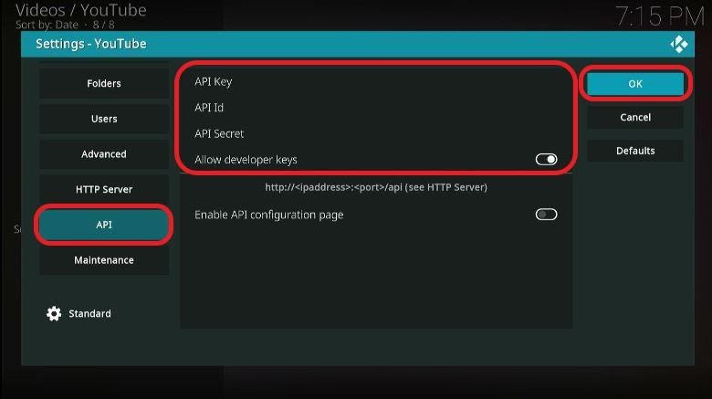 Kodi YouTube settings the API tab. Toggle on Allow Developers Key highlighted