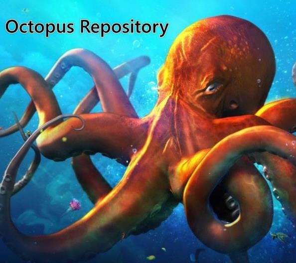 Octopus Repository