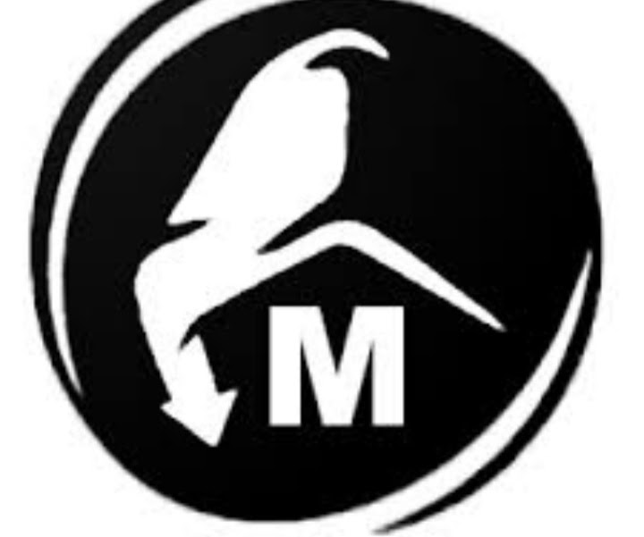 30 Best Downloader Codes [Ultimate List for 2024 ]