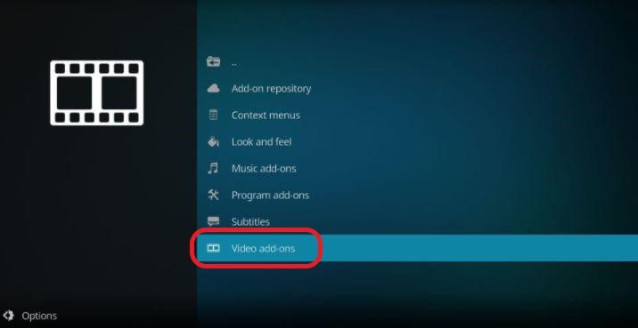 Video addons option