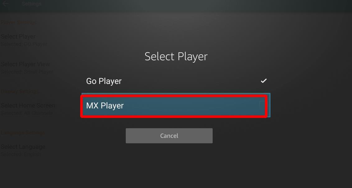 Choose MX Player Option