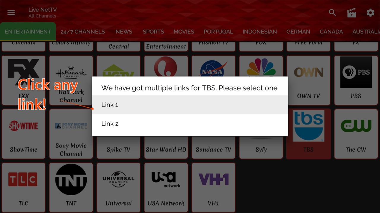 Live Net TV pop-up showing two links as options for a selected channel