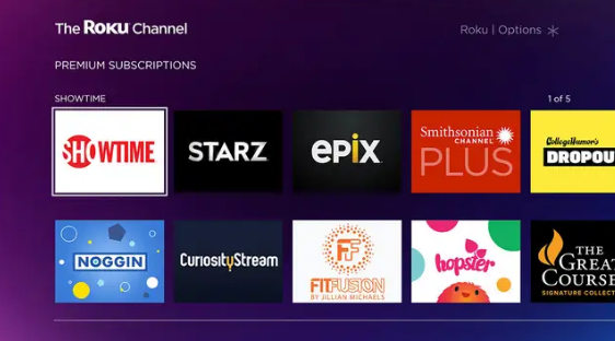 Roku Channel Interface