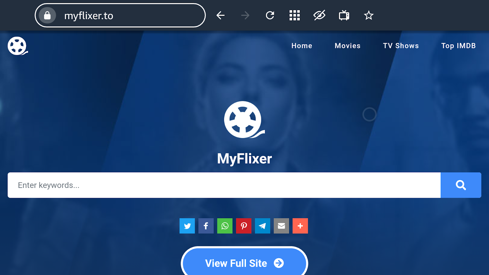 MyFlixer homepage