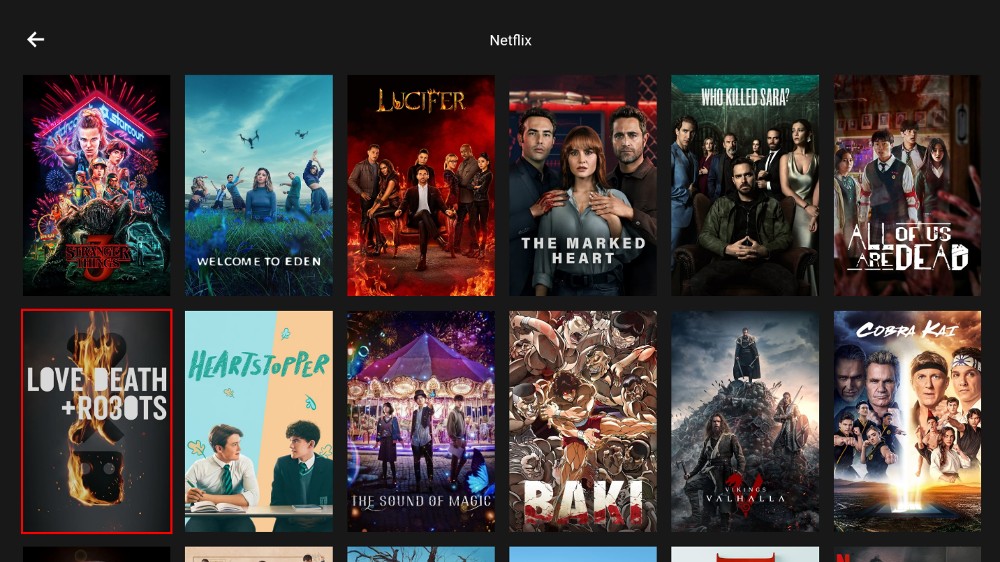 HDO Box Netflix page