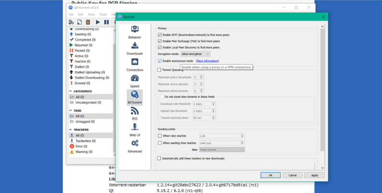 setting up qbittorrent with vpn setting up qbittorrent with vpn